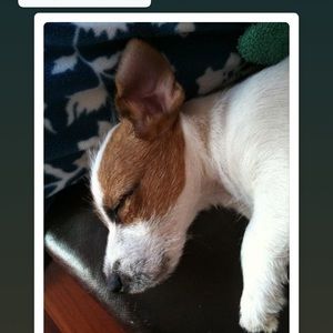 Meet your Posher, Bonnie